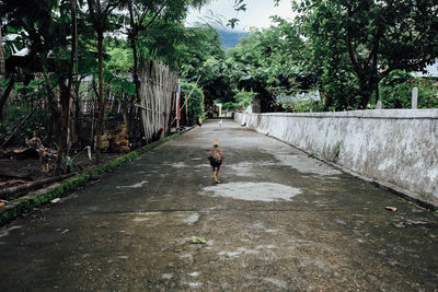 People walking on footpath