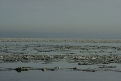 Scenic view of sea against clear sky