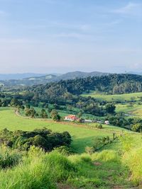 Casinha no campo