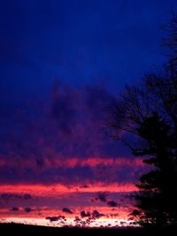 Scenic view of tree against sky at sunset