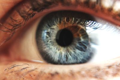 Close-up of human eye