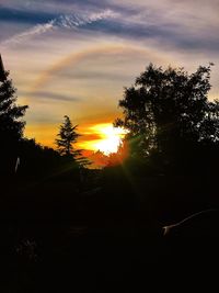 Silhouette trees against sky during sunset