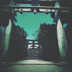 Narrow walkway along trees