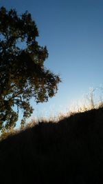 Low angle view of silhouette trees on field against clear blue sky