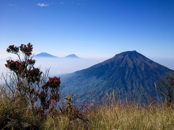Scenic view of mountain range against blue sky