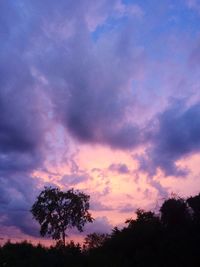 Low angle view of silhouette trees against dramatic sky