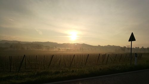 Scenic view of field against sky during sunset