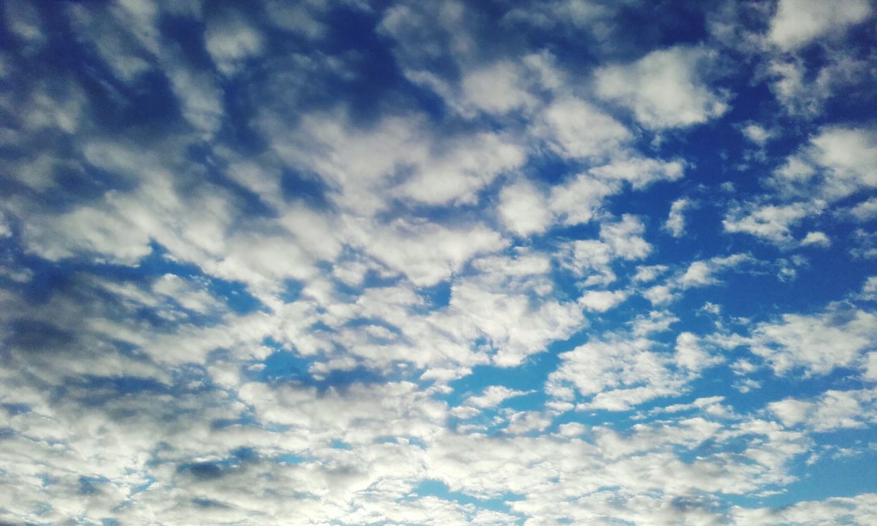 LOW ANGLE VIEW OF CLOUDY SKY OVER WHITE BACKGROUND