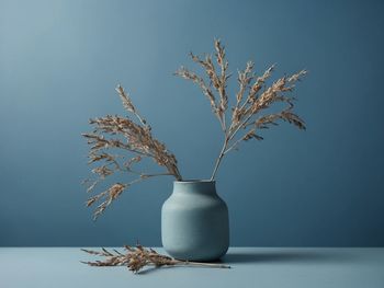 Potted plant on table