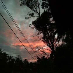 Low angle view of silhouette trees against sky at sunset