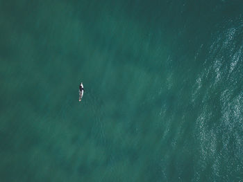 High angle view of person surfing in sea