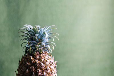 Close-up of pineapple