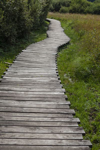 Empty boardwalk amidst plants on field