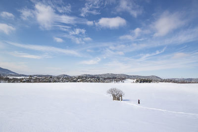 Snow covered land and trees against sky