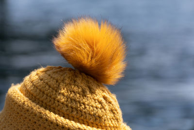 Close-up of yellow hat in sea during winter