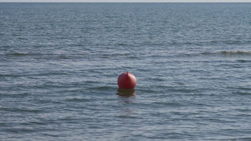 Man swimming in sea