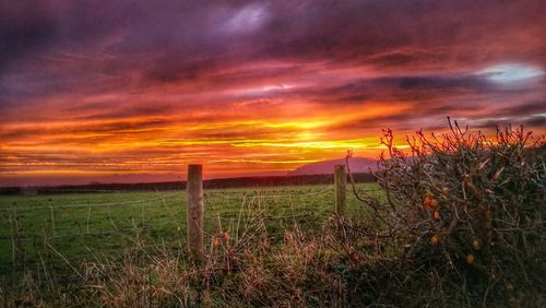 Scenic view of field against dramatic sky during sunset