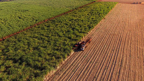 High angle view of agricultural field