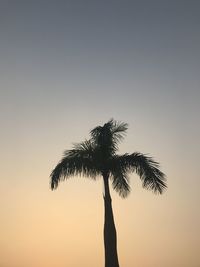 Low angle view of silhouette palm tree against clear sky