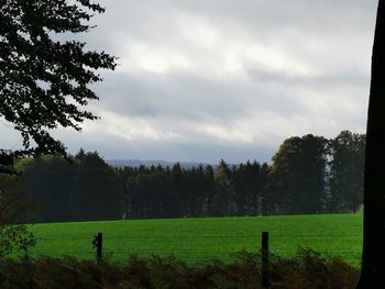 Scenic view of grassy field against sky