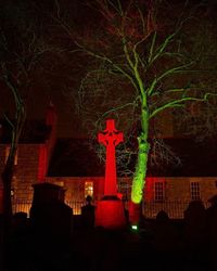 View of illuminated trees at night