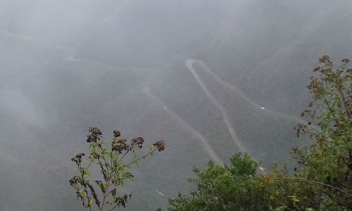 Scenic view of tree mountains against sky