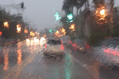 Reflection of trees in water