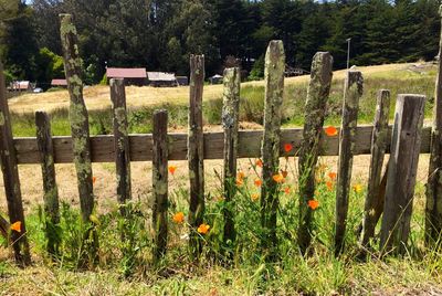 Wooden fence on field