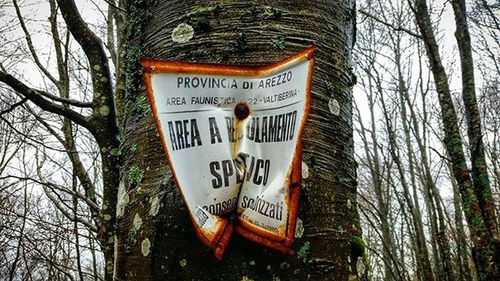 Information sign on tree trunk