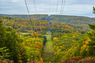 Scenic view of forest against sky during autumn