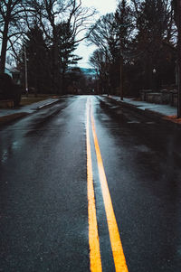 Empty road along trees and plants in suburb