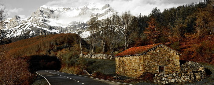 Road amidst trees and buildings against sky