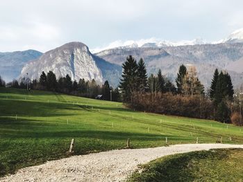 Scenic view of field against sky