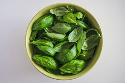 High angle view of salad in bowl