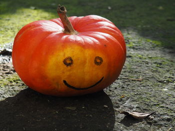 Close-up of pumpkin on field