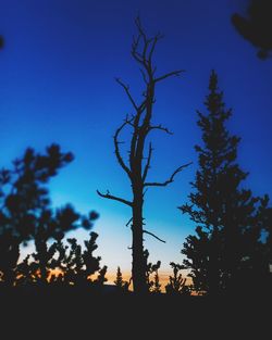 Low angle view of silhouette trees against clear blue sky