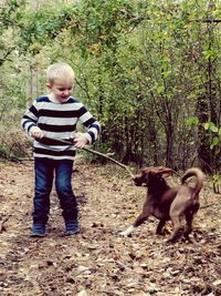 Full length of boy standing on ground