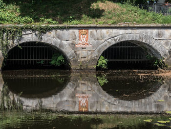 Reflection of trees in water