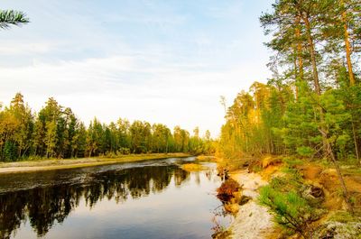 Scenic view of lake amidst trees against sky