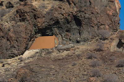 soil