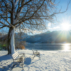 Snow covered bench by tree against sky during winter