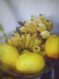 Close-up of yellow fruits on plant