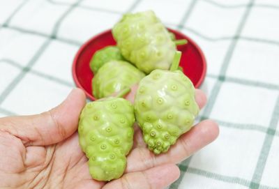 Close-up of hand holding green tomato