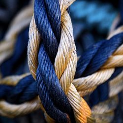 Close-up of ropes