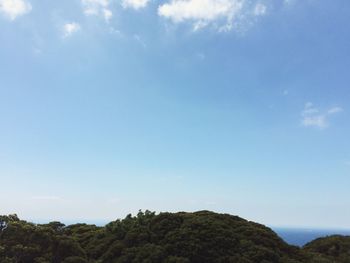 Trees against sky