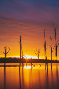 Scenic view of sunset