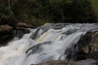 Scenic view of waterfall in forest