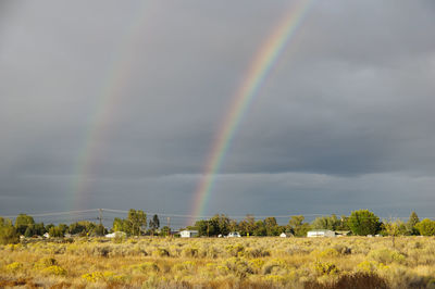 Scenic view of rainbow over trees on field against sky