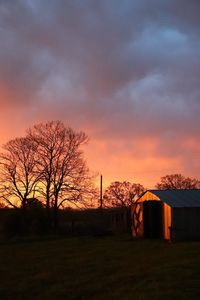 Silhouette bare trees on field against sky at sunset