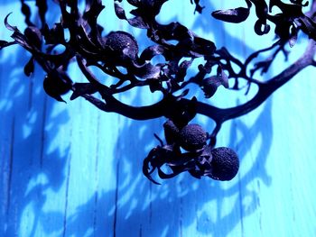 Low angle view of tree against sky